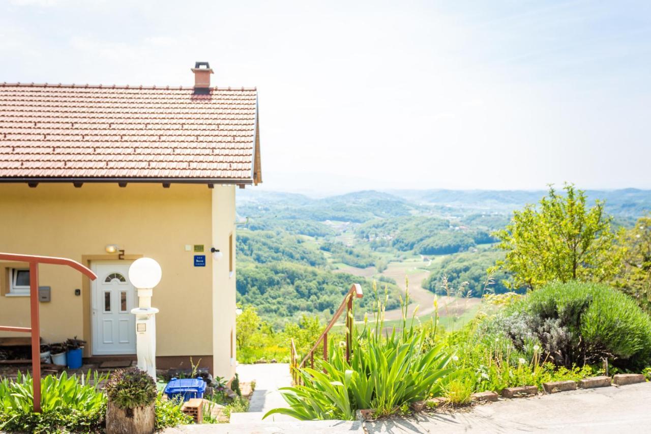 Apartment Cerovecki *